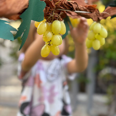 ΠΑΙΔΙΚΟΙ ΣΤΑΘΜΟΙ ΝΗΠΙΑΓΩΓΕΙΑ ΠΑΛΑΙΟ ΦΑΛΗΡΟ ΔΡΑΣΤΗΡΙΟΤΗΤΕΣ 060